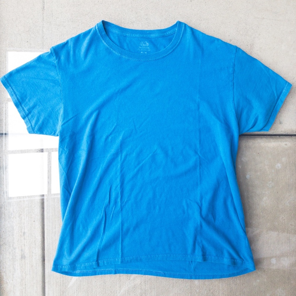 Turqoise Blue Fruit of the Loom Platinum Adult Medium